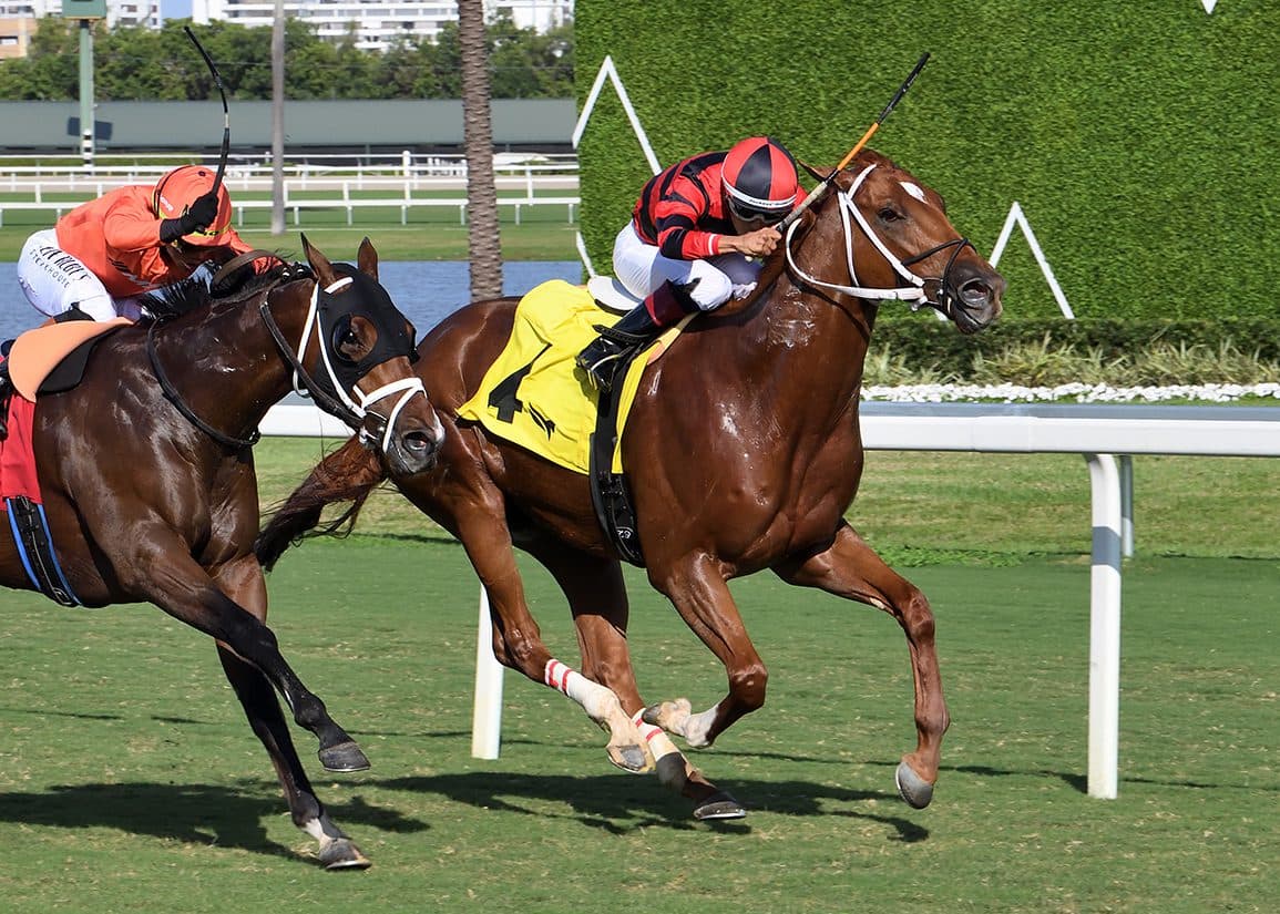 Win Win Win sets Tampa track record in Pasco, Well Defined impresses