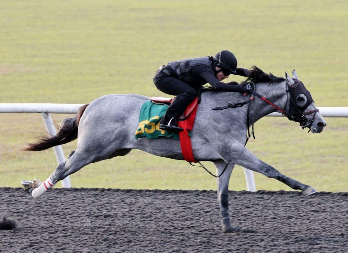 Three Horses Share Fastest Quarter at OBS Spring Two-Year-Old Under-Tack Show