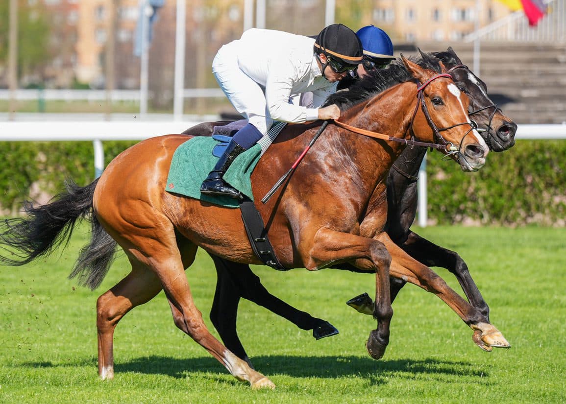 Calandagan Clears Dubai Hurdle With Strong Saint-Cloud Workout