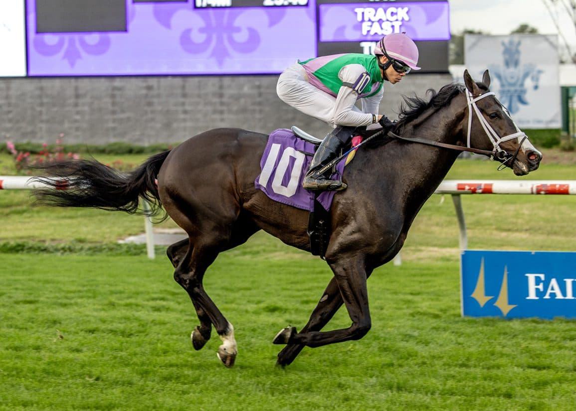 Touch of Fire Earns TDN Rising Star Nod After Keeneland Turf Victory