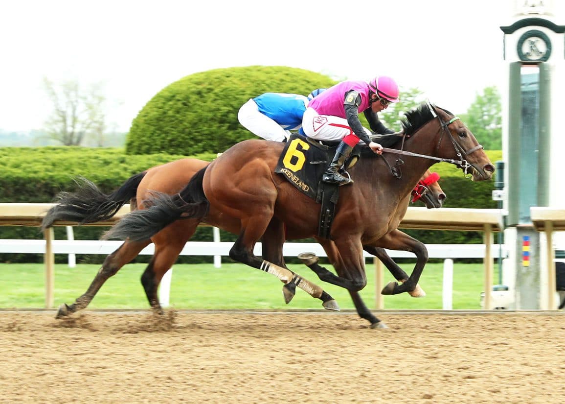 Blessed Flyer headlines Fasig-Tipton May Digital Sale opening catalog