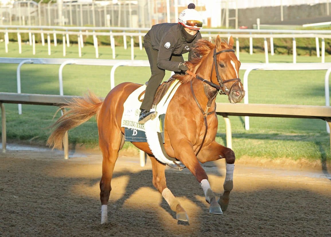 Brown and Mott sharpen Belmont Stakes hopefuls in split works