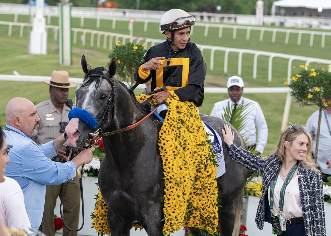 Napoleon Solo sold to ESPOIR USA, stays on track for Haskell Stakes