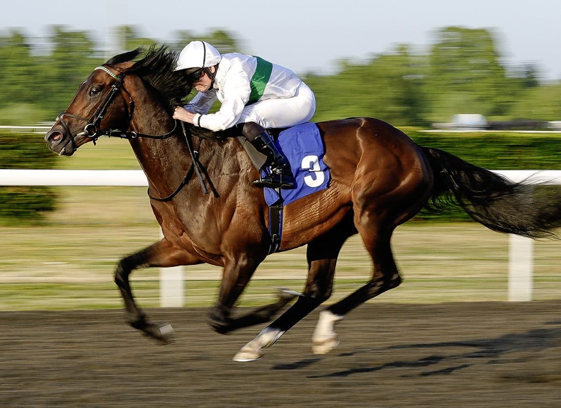 Water To Wine storms to 11-length Kempton win, eyes Royal Ascot