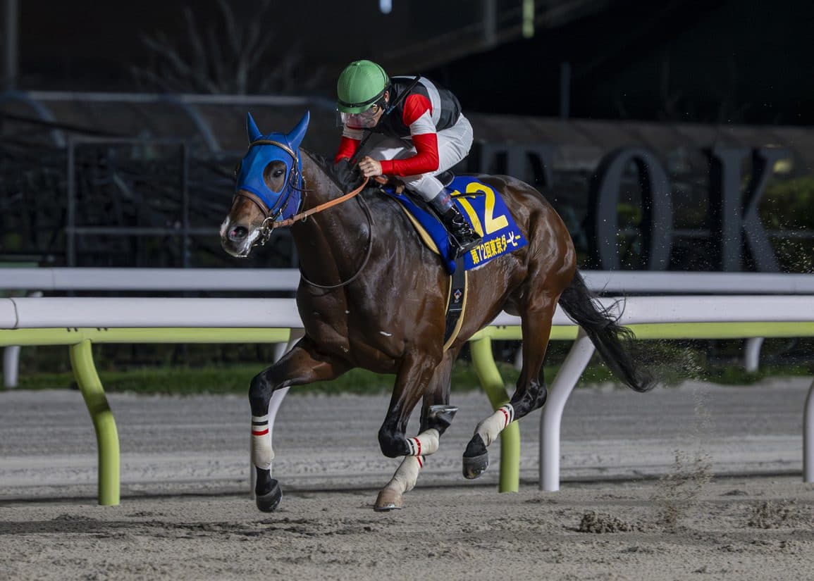 Finger wins Tokyo Derby, nears Japan Dirt Triple Crown sweep