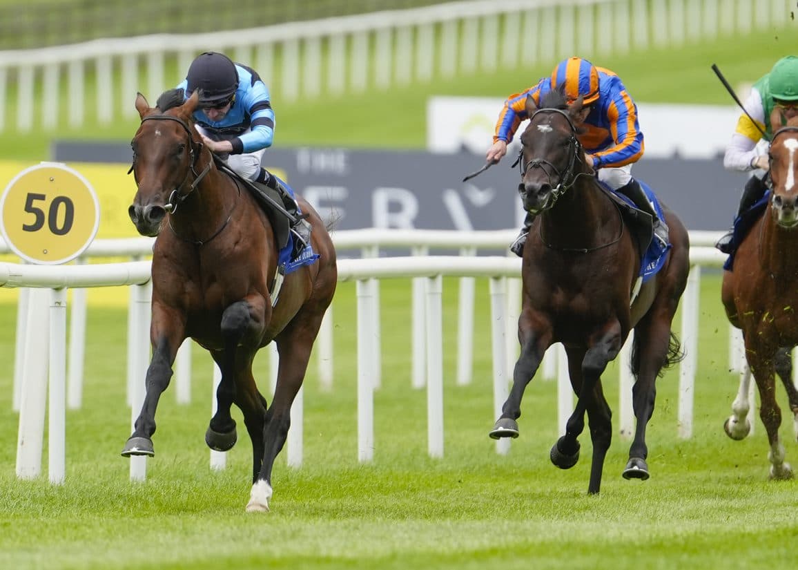 Giant Sequoia impresses in Curragh maiden, hints at bigger things