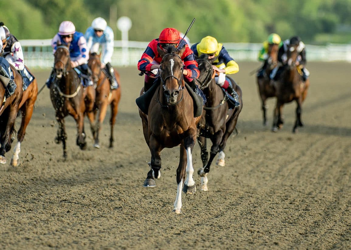 River In Paradise heads to Tattersalls sale as Royal Ascot prospect