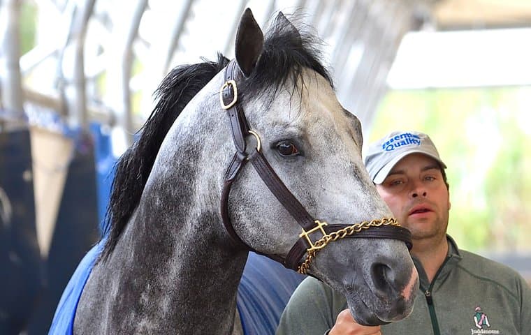 Cannoneer Bounces Back with Dominant 9-Length Win at Gulfstream Park