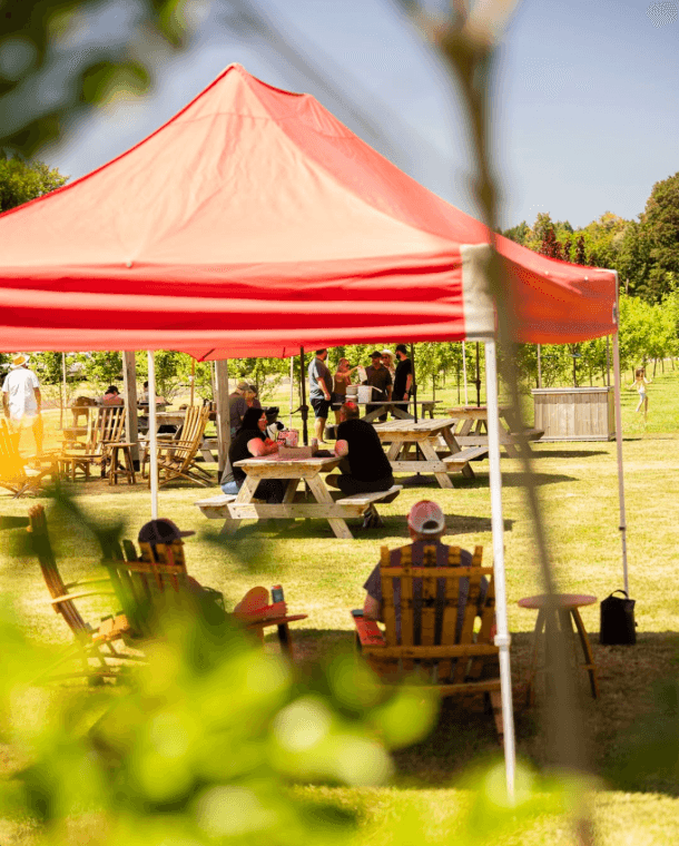 Public Coast Farm launches summer beer and blueberry events in Oregon