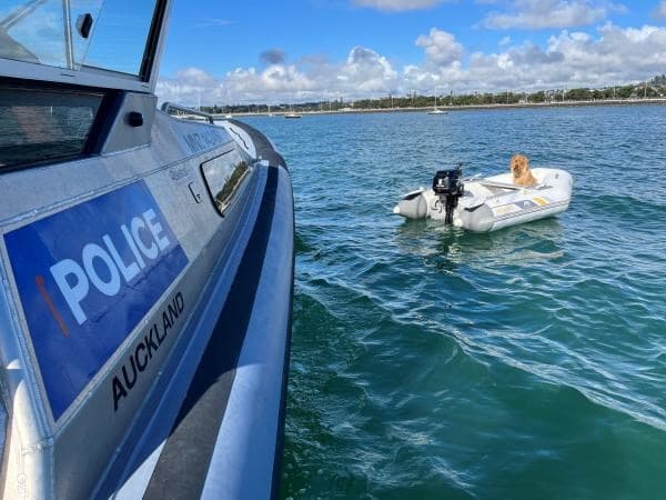 FWC Officer Rescues Husky Trapped Under Key Largo Dock During Cold Snap