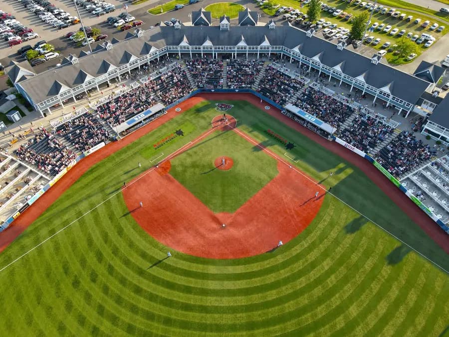 Turtle Creek Stadium to host inclusive All-Star Games for all abilities