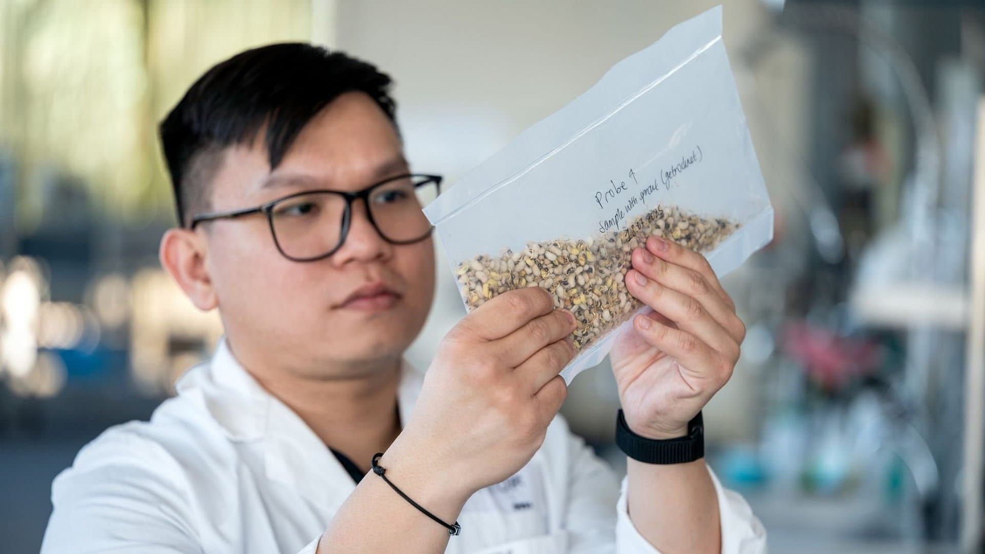 Cowpea gains attention as climate-smart, affordable protein source