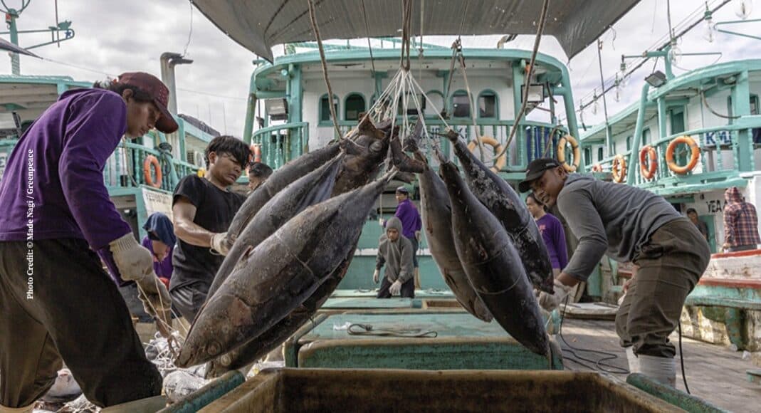 INFOFISH Releases TUNA 2026 Conference Brochure and Programme Update