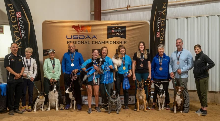 Kaysville hosts USDAA Rocky Mountain Regional as teams chase Cynosport spots