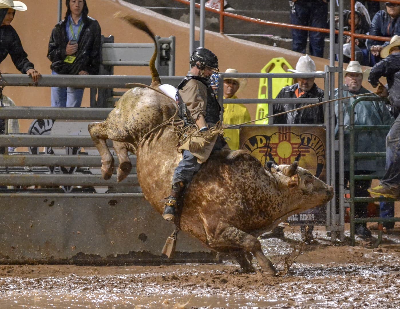 Wild Thing bullriding returns to Red Rock Park this weekend