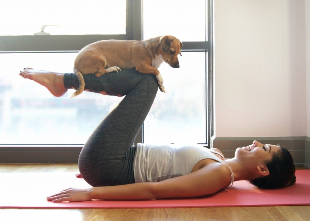 Yoga With Dogs: Two Formats, Health Benefits, and FAQs