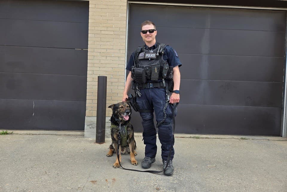 Moose Jaw K9 handler says police dogs are true partners on patrol