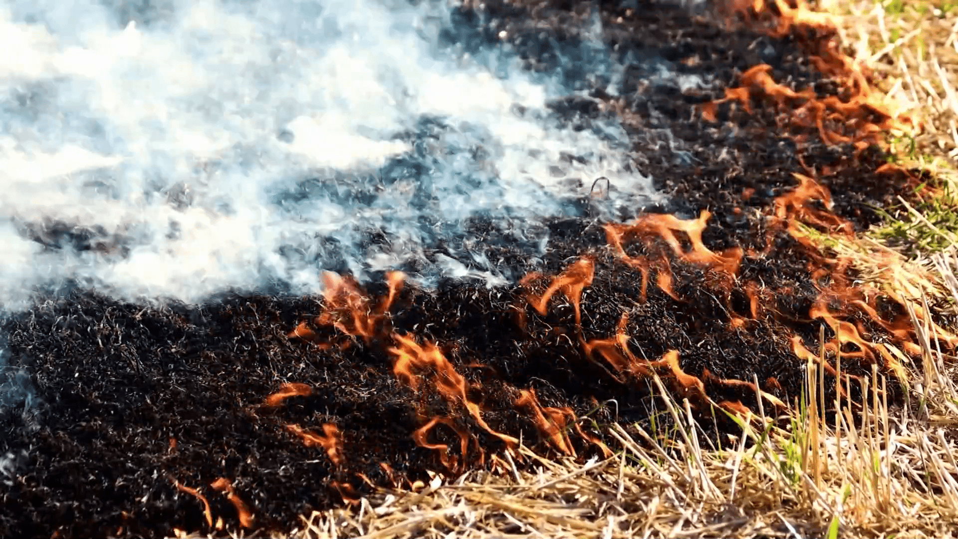 Minnesota DNR tightens burning restrictions across St. Louis County