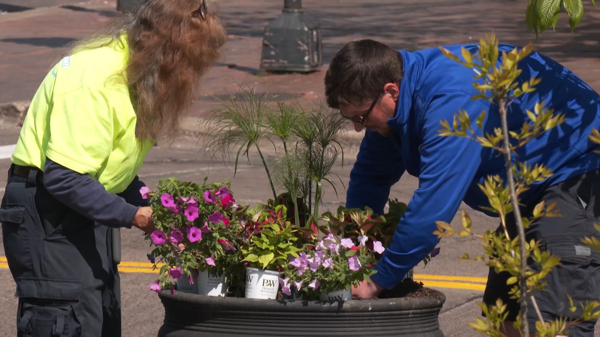 Downtown Duluth adds 50 flower pots to Canal Park, downtown area