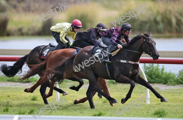 Kilkenny King dominates 400m, Afireofgidgeecoals wins 2YO 1000m, Castle Road wins 72+