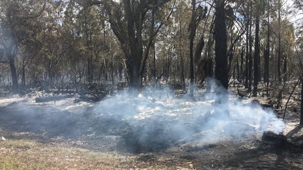 Two Illegal Burns Cause Multiple Brush Fires in Hernando County Feb. 15