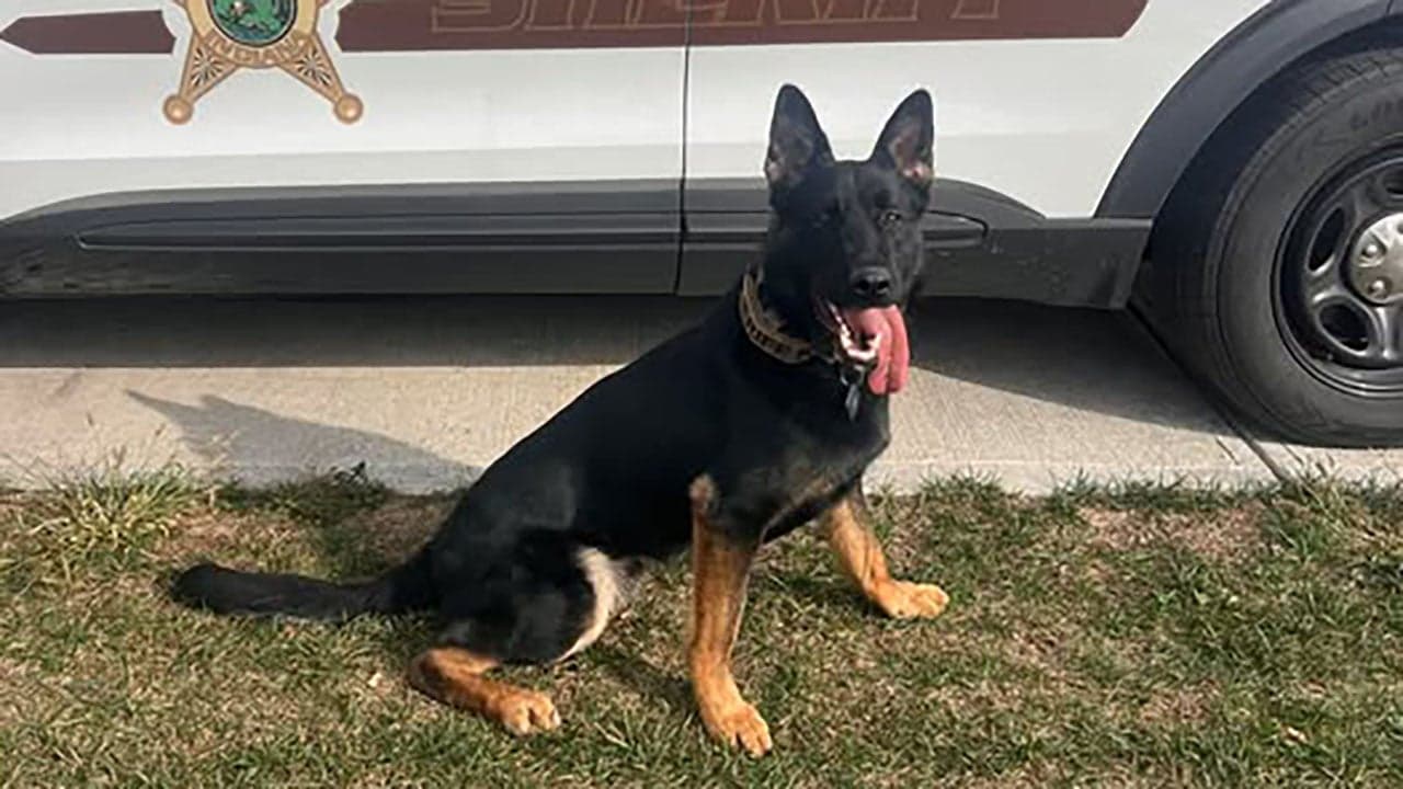 Morgan County patrol issues 107 citations in December traffic detail