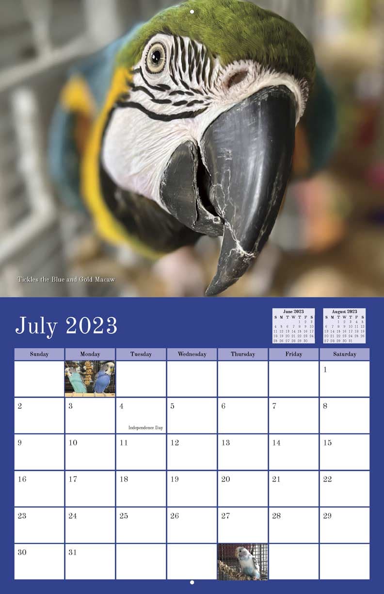 Seminole County Animal Services 2026 Calendar $15 Proceeds Benefit Shelter Animals