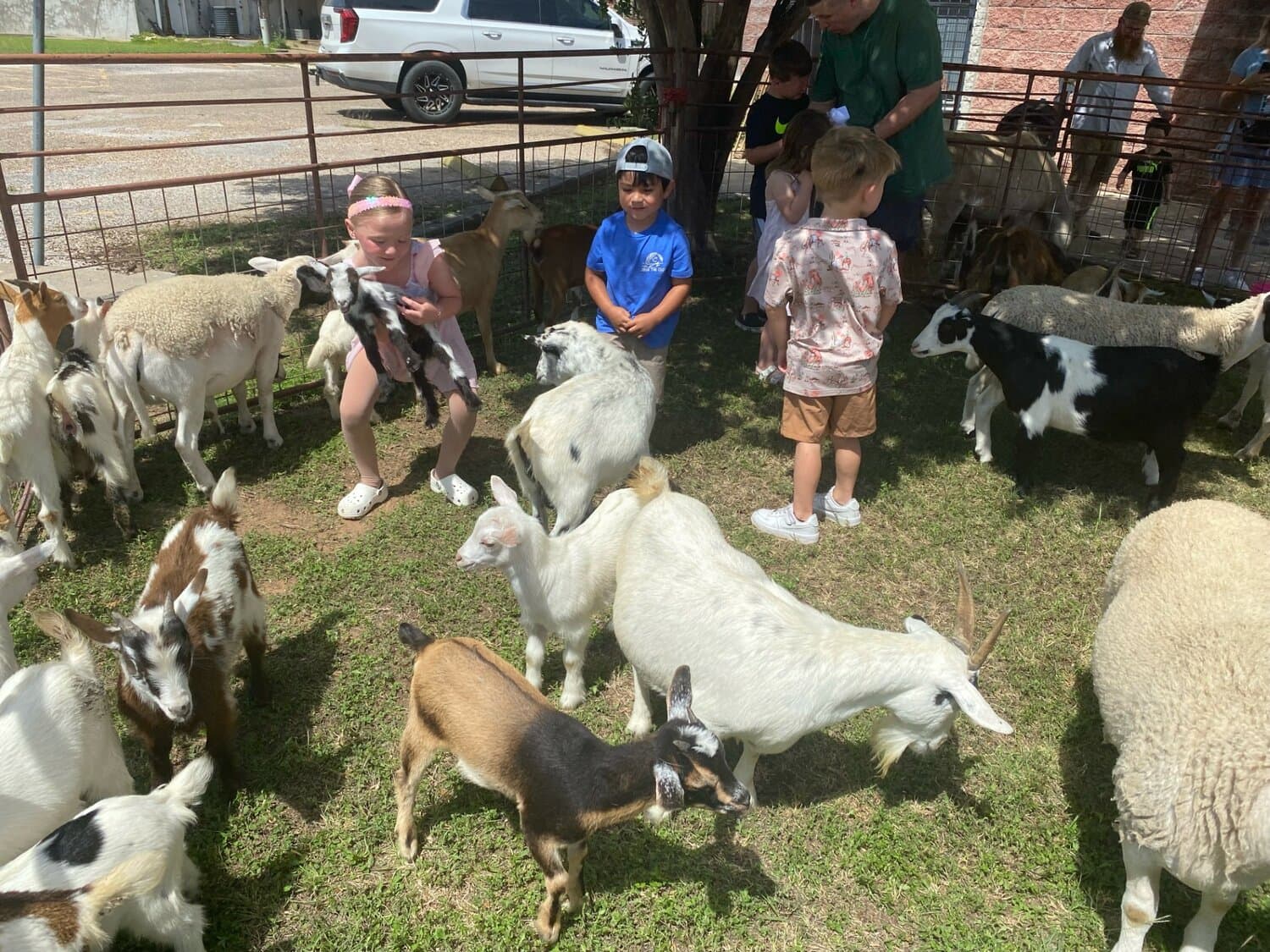 Gatesville library Storytime draws 110 with petting zoo fun