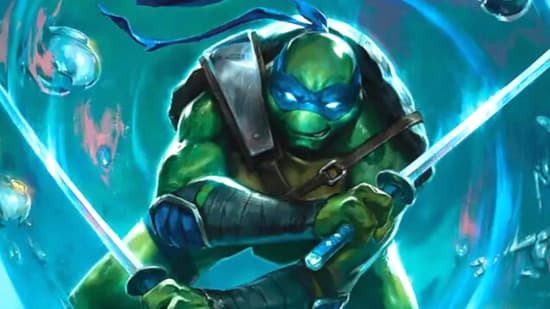 11 Practical Swaps to Upgrade the TMNT Turtle Power Commander Precon ...